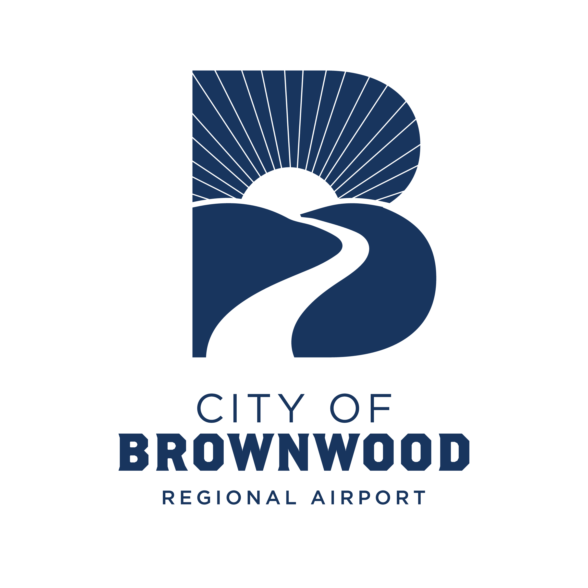 Vert Airport Logo-01