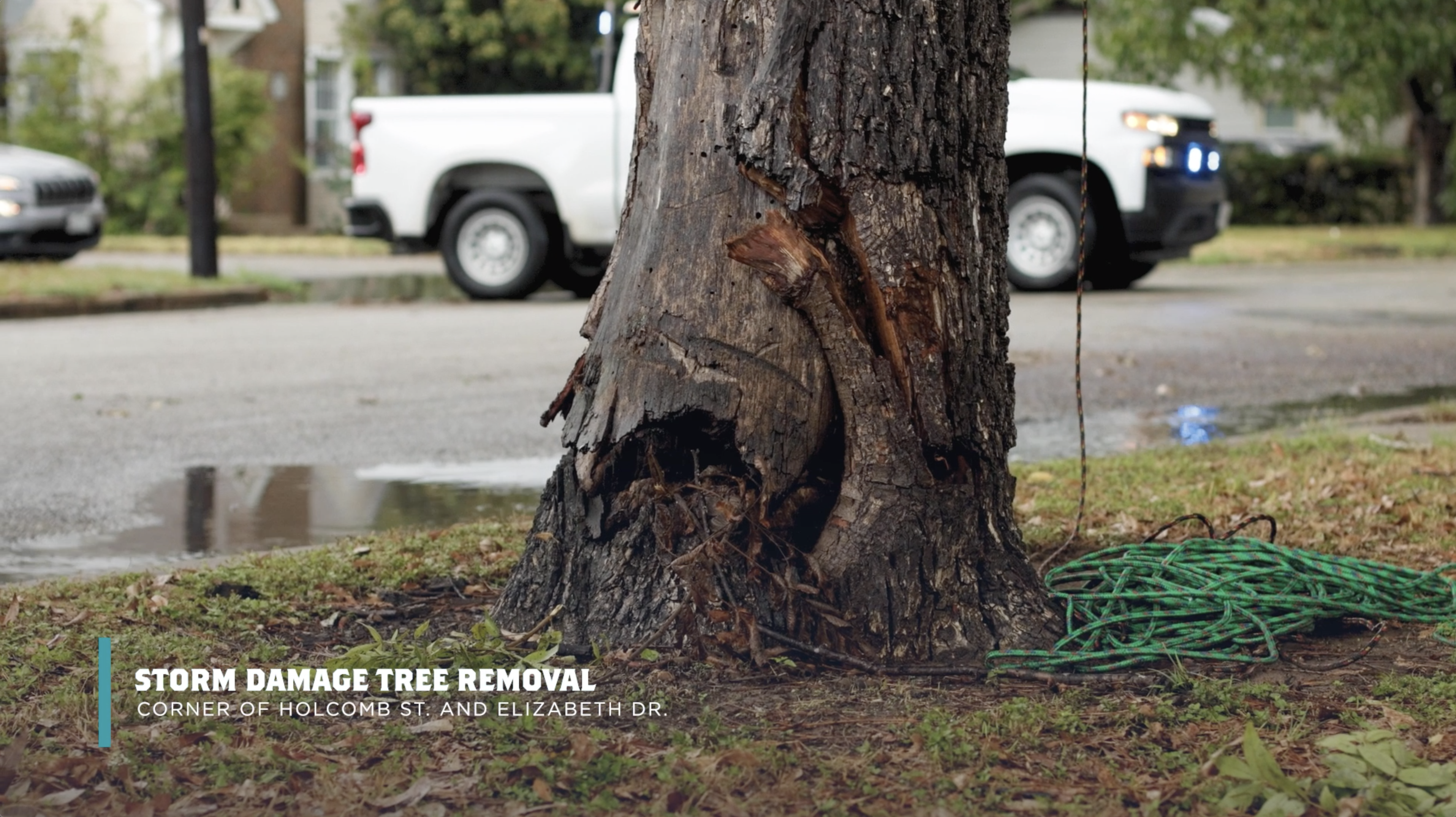 Street Department removes hazardous falling tree